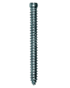 Viti Per Calcestruzzo Con Testa Cilindrica Inserto Torx